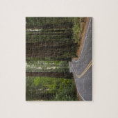 米国、カリフォルニアのレッドウッドの森林を通した道 ジグソーパズル (縦)