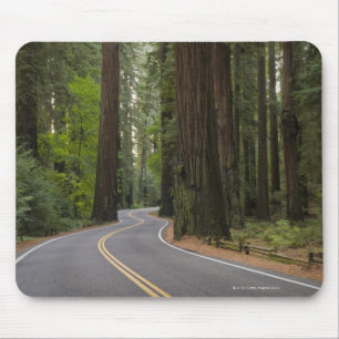 米国、カリフォルニアのレッドウッドの森林を通した道 マウスパッド