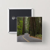 米国、カリフォルニアのレッドウッドの森林を通した道 缶バッジ (正面&裏面)