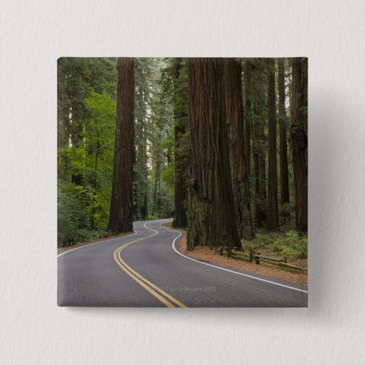 米国、カリフォルニアのレッドウッドの森林を通した道 缶バッジ (正面)