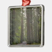 米国、カリフォルニアのレッドウッドの森林2を通した道 メタルオーナメント (左)