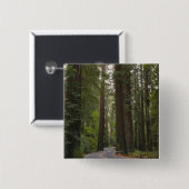 米国、カリフォルニアのレッドウッドの森林2を通した道 缶バッジ (正面&裏面)