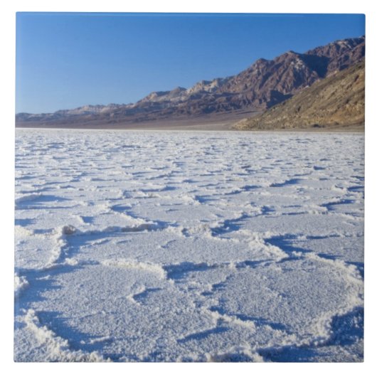 米国、カリフォルニア州、デスバレーNP、塩層 タイル (正面)