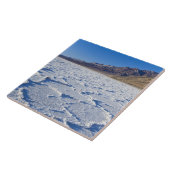 米国、カリフォルニア州、デスバレーNP、塩層 タイル (側面)