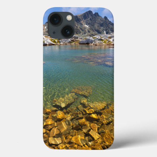 米国、カリフォルニア、イニョ国有林8 Case-Mate iPhoneケース (裏面)