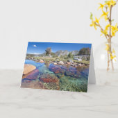 米国、カリフォルニア、イニョ国立森林4 カード (黄色い花)