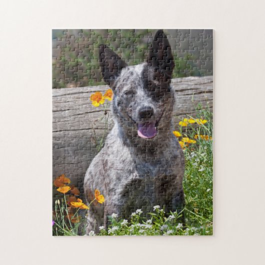 米国、カリフォルニア。クイーンズランドヒーラー座って2 ジグソーパズル (縦)