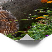 米国、カリフォルニア。クイーンズランドヒーラー座って2 ポスター (角)