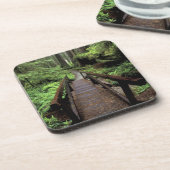 米国、カリフォルニア、ジディア·スミス·レッドウッズ コースター (左側)