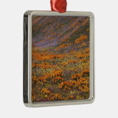 米国，カリフォルニア，テハチャピ山脈， 2 メタルオーナメント (右)