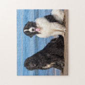 米国、カリフォルニア。ニューファンドランズ ジグソーパズル (縦)