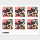 米国、カリフォルニア。パグ子犬ぞり スクエアシール (シート)