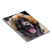 米国、カリフォルニア。ポートレートオブレオンベルガーシッティング ノートブック (右側)