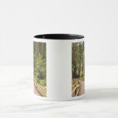 米国、カリフォルニア、マリン郡、ミュア·ウッズ マグカップ (中央)