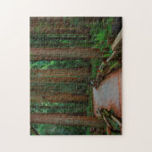 米国、カリフォルニア。ミュアのレッドウッドの道 ジグソーパズル (縦)