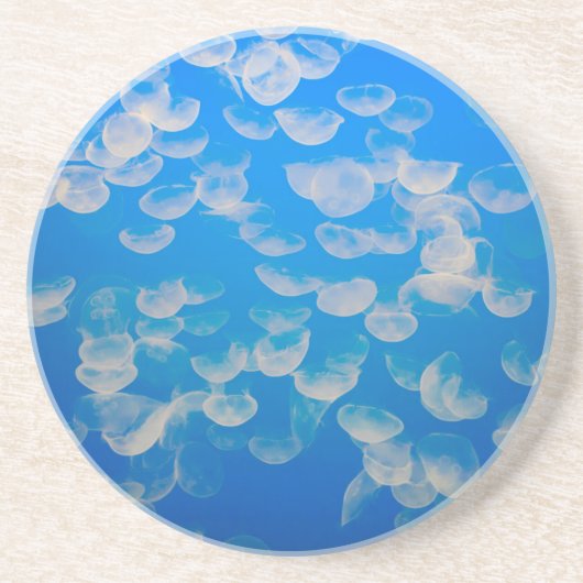 米国、カリフォルニア。モントレー湾のクラゲ コースター (正面)