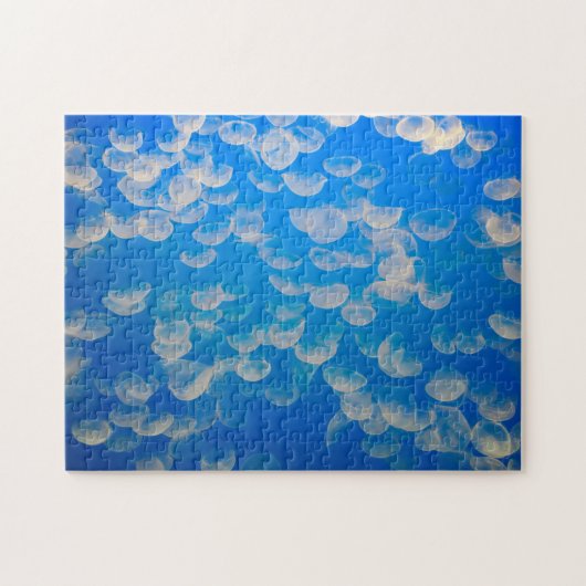 米国、カリフォルニア。モントレー湾のクラゲ ジグソーパズル (横)