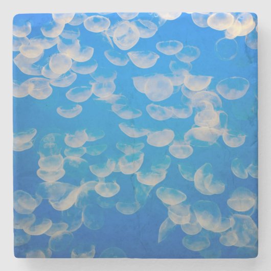 米国、カリフォルニア。モントレー湾のクラゲ ストーンコースター (正面)