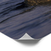 米国、カリフォルニア、モントレー。ハーバーシール ポスター (角)