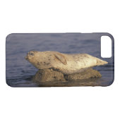 米国、カリフォルニア、モントレー。ハーバーシール Case-Mate iPhoneケース (裏面(横))