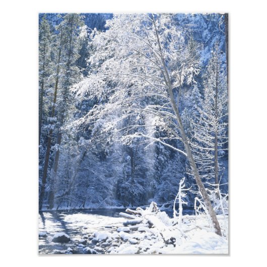 米国,カリフォルニア,ヨセミテ国立公園, 2 フォトプリント (正面)