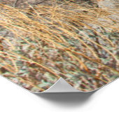 米国、カリフォルニア。ラブラドール座る ポスター (角)