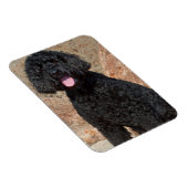 米国、カリフォルニア。ラブラドール座る マグネット (右側)