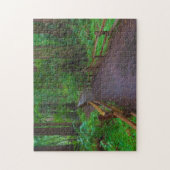 米国、カリフォルニア。レッドウッドの小道 ジグソーパズル (縦)