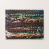 米国、カリフォルニア。レッドウッドツリートランクス、マリポサ ジグソーパズル (横)