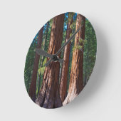 米国、カリフォルニア。レッドウッドツリートランクス、マリポサ ラウンド壁時計 (傾斜)