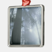 米国、カリフォルニア、レッドウッド国立公園、デル メタルオーナメント (左)