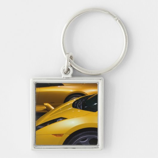 米国、カリフォルニア、ロサンゼルス: ロサンゼルスの自動車 キーホルダー (正面)