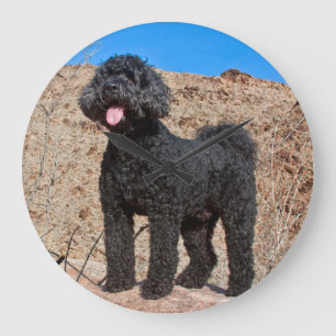 米国、カリフォルニア。 Labradoodleの地位 ラージ壁時計