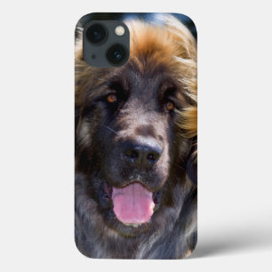 米国、カリフォルニア。 Leonbergerのモデルのポートレート iPhone 13ケース