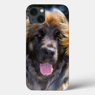 米国、カリフォルニア。 Leonbergerのモデルのポートレート iPhone 13ケース