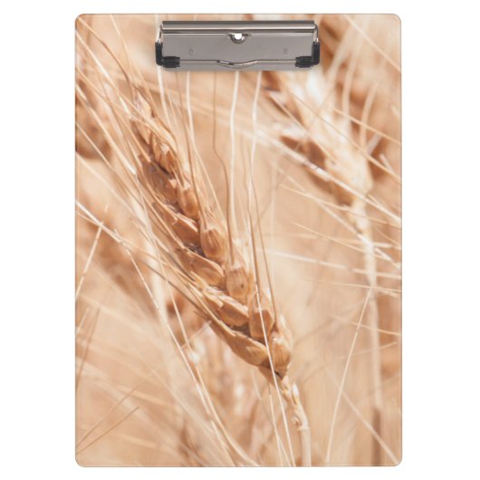 米国、カンザスの収穫期のムギ クリップボード (正面)