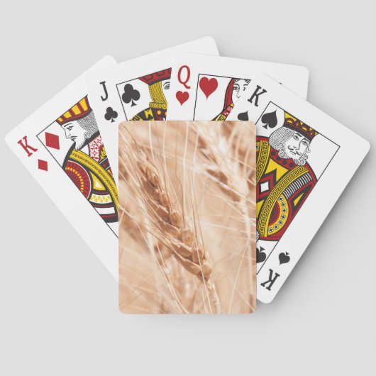 米国、カンザスの収穫期のムギ トランプ (裏面)