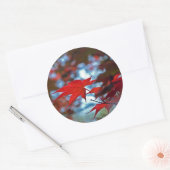 米国、カンザス州。紅葉 ラウンドシール (封筒)