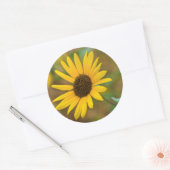 米国、カンザス州。野生のひまわり ラウンドシール (封筒)