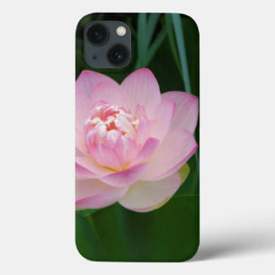 米国、カンザス、ピンク·ウォーター·リリー iPhone 13ケース