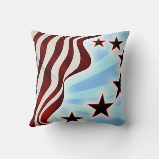 米国 クッション (裏面)