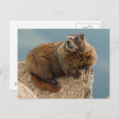 米国，コロラド州，サンフアン山脈2 ポストカード (正面/裏面)