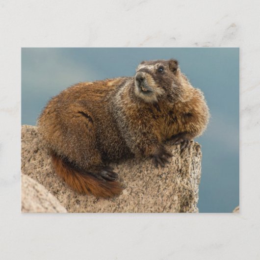 米国，コロラド州，サンフアン山脈2 ポストカード (正面)