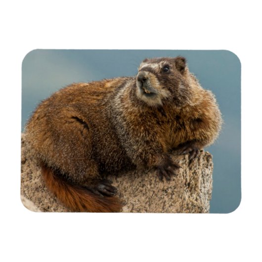 米国，コロラド州，サンフアン山脈2 マグネット (横)