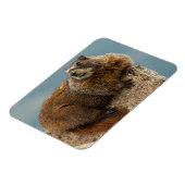 米国，コロラド州，サンフアン山脈2 マグネット (左側)