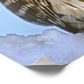 米国、コロラド州。ポートレートに覆われた有刺フクロウ ポスター (角)