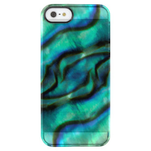 米国、コロラド州、ラファイエット。 アワビの貝のモンタージュ クリア iPhone SE/5/5sケース