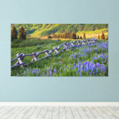 米国、コロラド州。ルピネスと分割レールフェンス キャンバスプリント (インサイチュ (ウッドフロア))