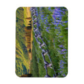 米国、コロラド州。ルピネスと分割レールフェンス マグネット (縦)