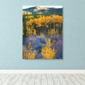 米国、コロラド州。ロッキー山脈の明るい黄色の《植物》アスペン キャンバスプリント (インサイチュ (ウッドフロア))